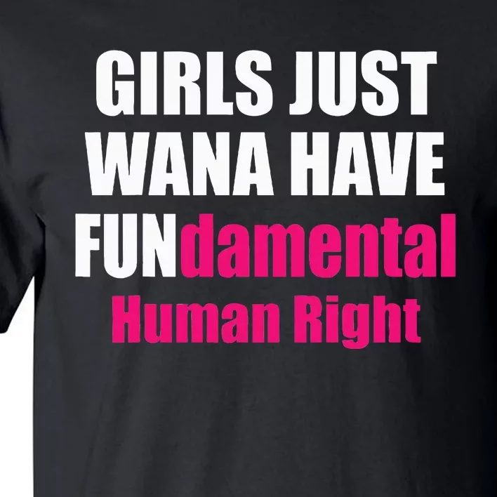 Just Want To Have Fundamental Human Rights Feminist Tall T-Shirt