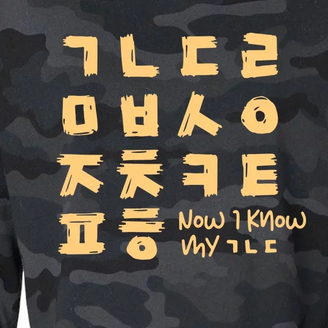 Korean Alphabet Consonant Writing Cropped Pullover Crew