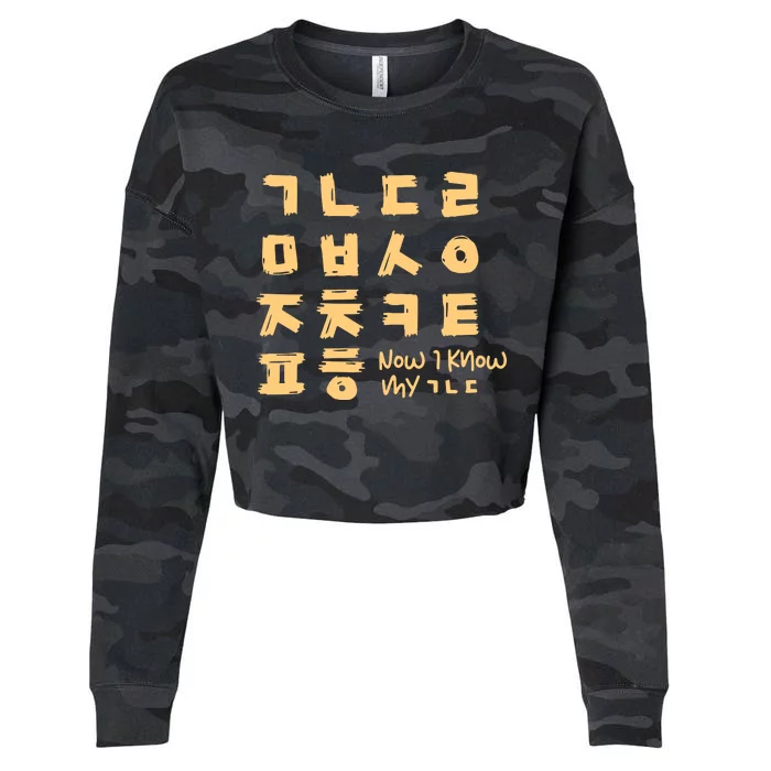 Korean Alphabet Consonant Writing Cropped Pullover Crew