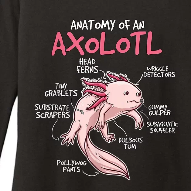 Kids Axolotl Gift Axolotl Stuff Anatomy Of An Axolotl Womens CVC Long Sleeve Shirt