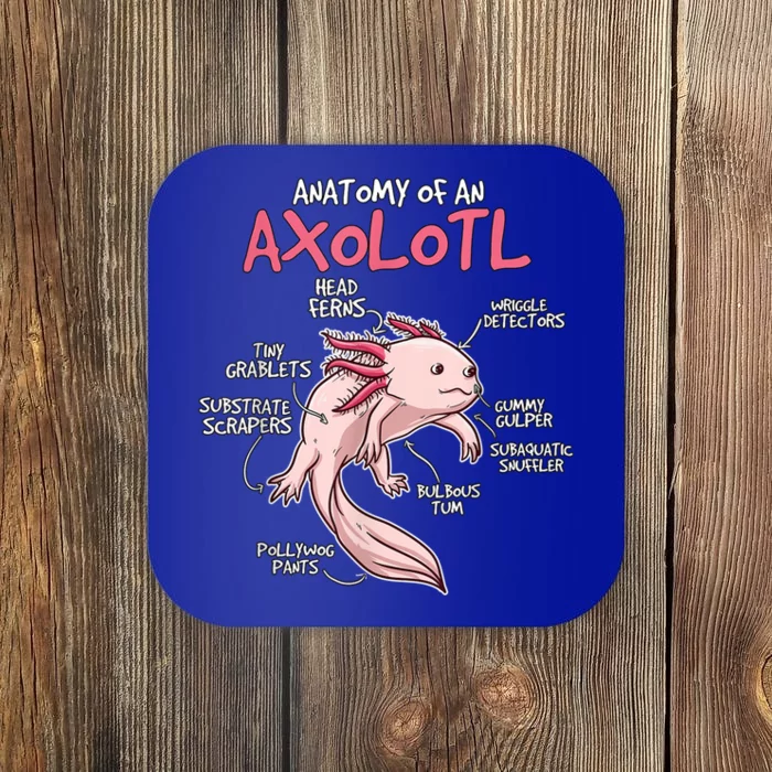 Kids Axolotl Gift Axolotl Stuff Anatomy Of An Axolotl Coaster