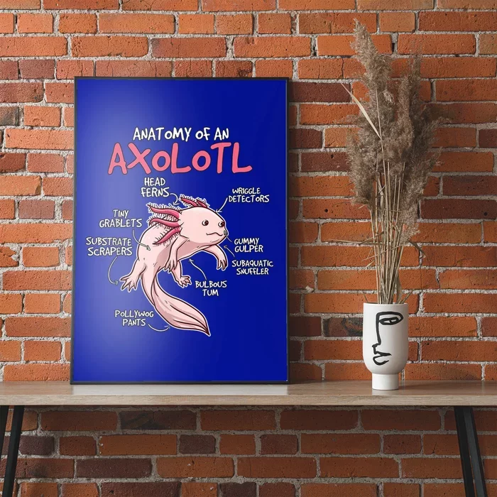 Kids Axolotl Gift Axolotl Stuff Anatomy of An Axolotl Baby Long Sleeve Bodysuit