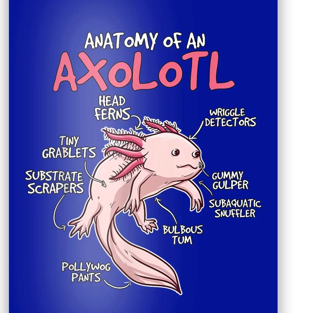 Kids Axolotl Gift Axolotl Stuff Anatomy Of An Axolotl Poster