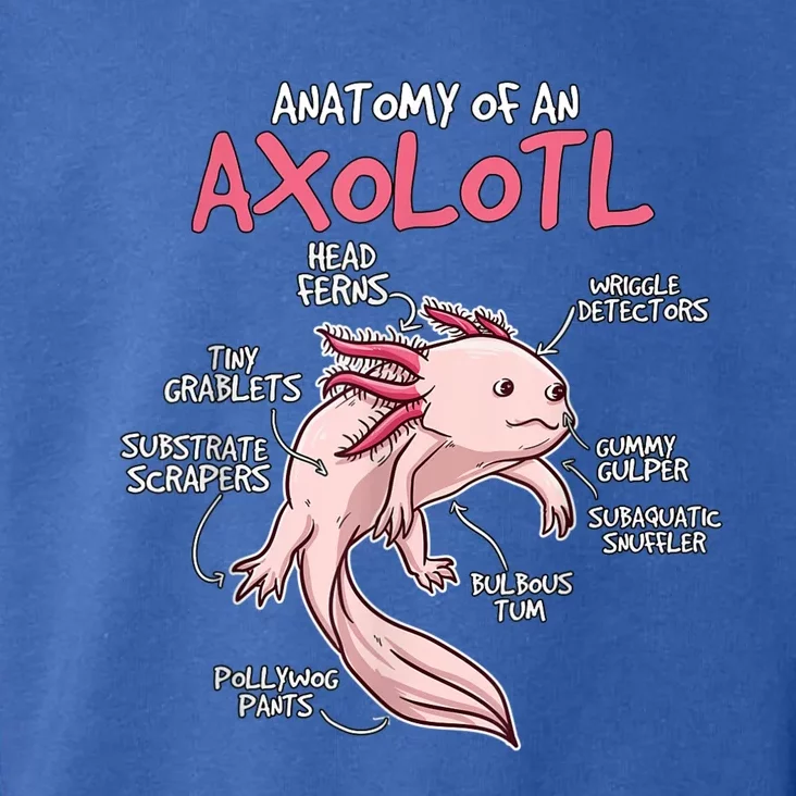 Kids Axolotl Gift Axolotl Stuff Anatomy Of An Axolotl Toddler Hoodie