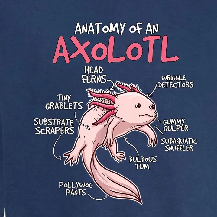 Kids Axolotl Gift Axolotl Stuff Anatomy Of An Axolotl Garment-Dyed Sweatshirt