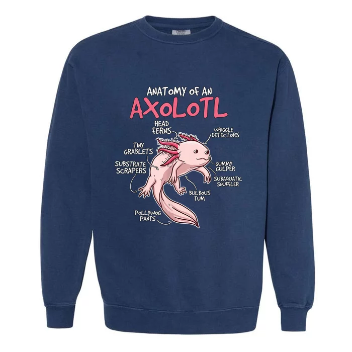 Kids Axolotl Gift Axolotl Stuff Anatomy Of An Axolotl Garment-Dyed Sweatshirt