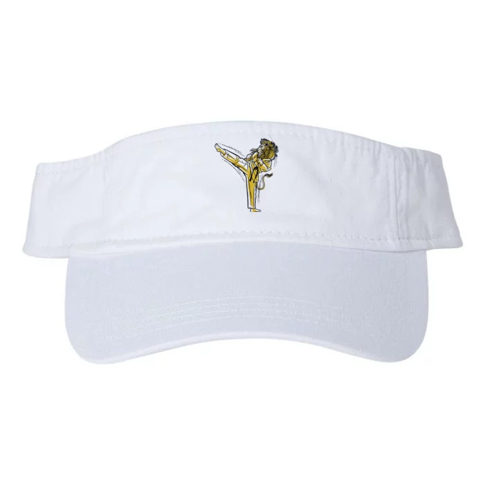 Karate Lion Kick Valucap Bio-Washed Visor