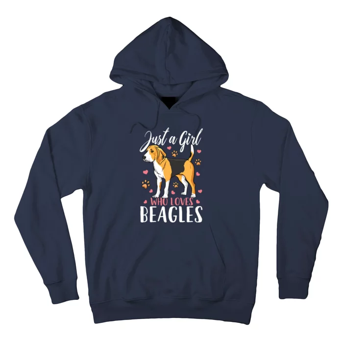 Kids Beagle Just A Who Loves Beagles Gift Hoodie