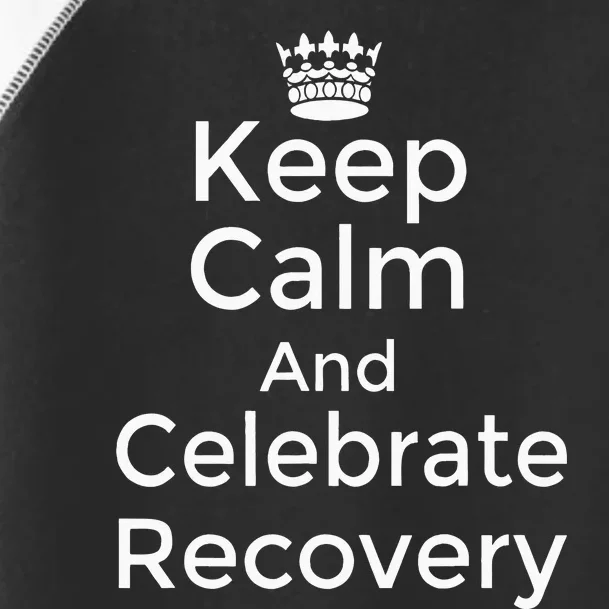 Keep Calm And Celebrate Recovery Sobriety Positive Support Toddler Fine Jersey T-Shirt