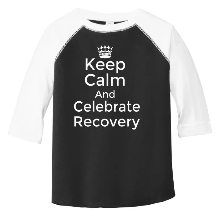 Keep Calm And Celebrate Recovery Sobriety Positive Support Toddler Fine Jersey T-Shirt