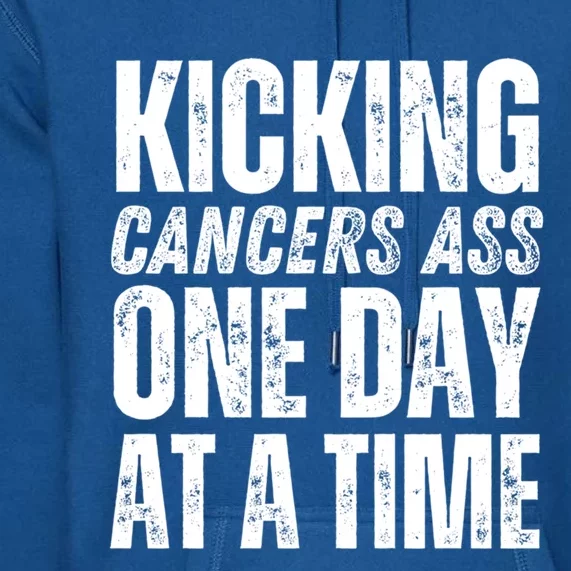 Kicking CancerS Ass One Day At A Time Anti Cancer Funny Gift Premium Hoodie