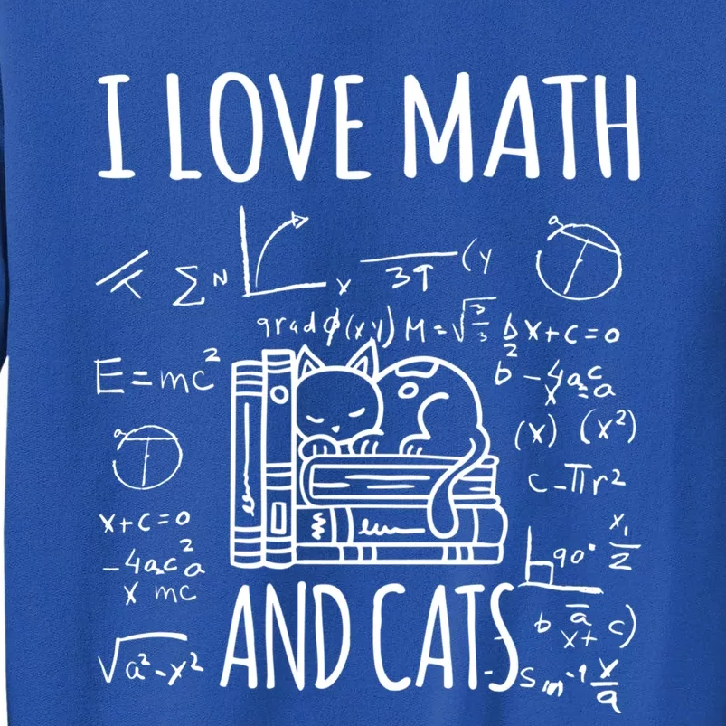 Kitty Cat I Love Math And Cats Design Mathematics Teacher Gift Sweatshirt