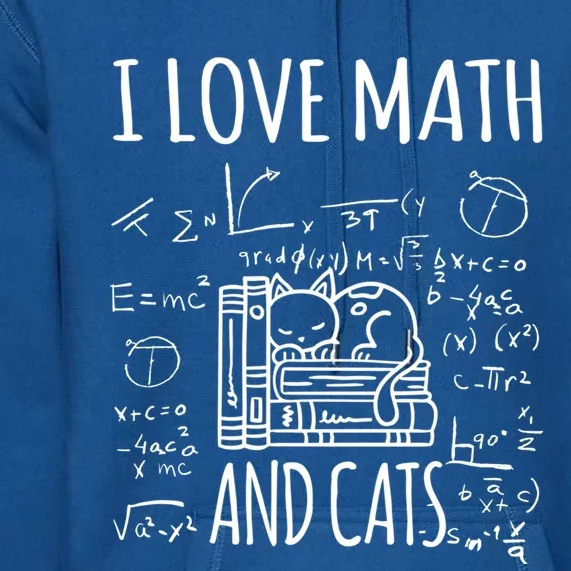 Kitty Cat I Love Math And Cats Design Mathematics Teacher Gift Premium Hoodie