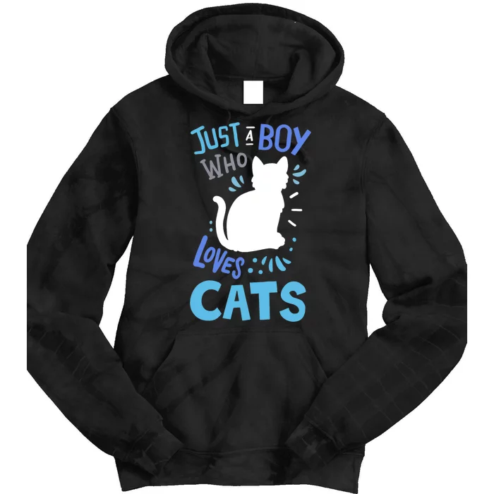 Kids Cat Just A Boy Who Loves Cats Gift For Cat Lovers TShirt Tie Dye Hoodie