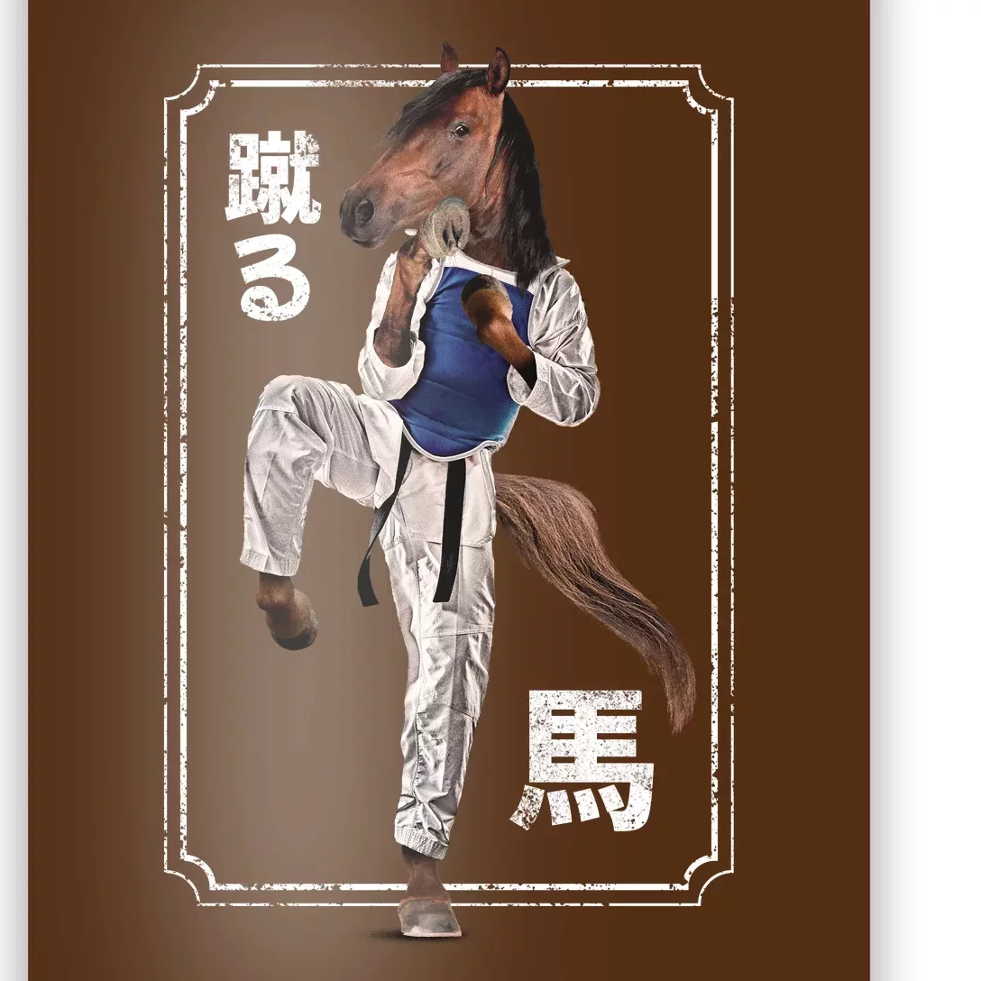 Kung Fu Horse Poster