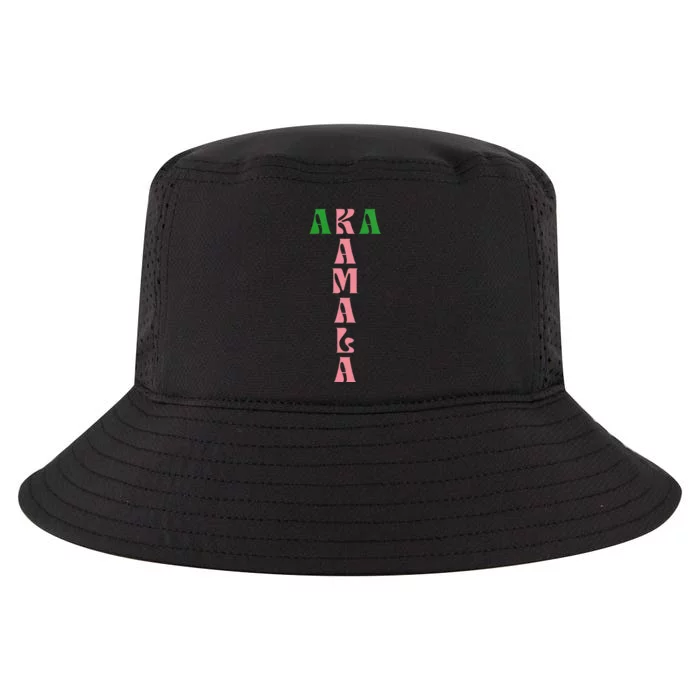 Kamala Harris 2024 Aka President Hbcu Howard Alpha Proud Cool Comfort Performance Bucket Hat