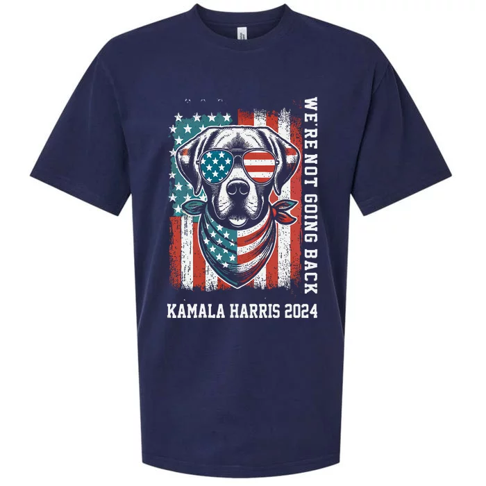 Kamala Harris 2024  We Are Not Going Back Slogan Sueded Cloud Jersey T-Shirt