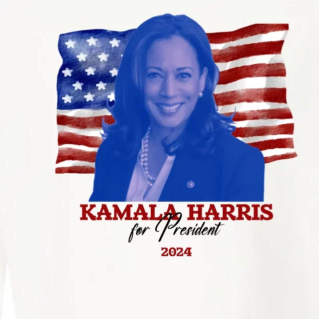 Kamala Harris For President Usa 2024 Madam Cropped Pullover Crew