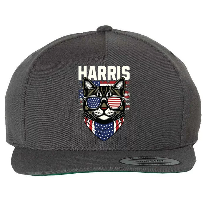 Kamala Harris For President 2024 Funny Cat Graphic Wool Snapback Cap