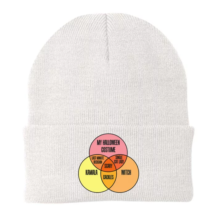 Kamala Harris Lazy Halloween Costume Venn Diagram Knit Cap Winter Beanie