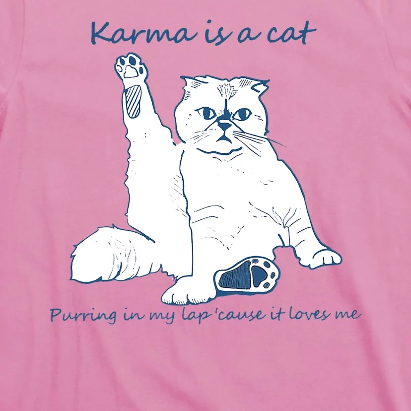 Karma Is A Cat Purring In My Lap Clogs - Torunstyle