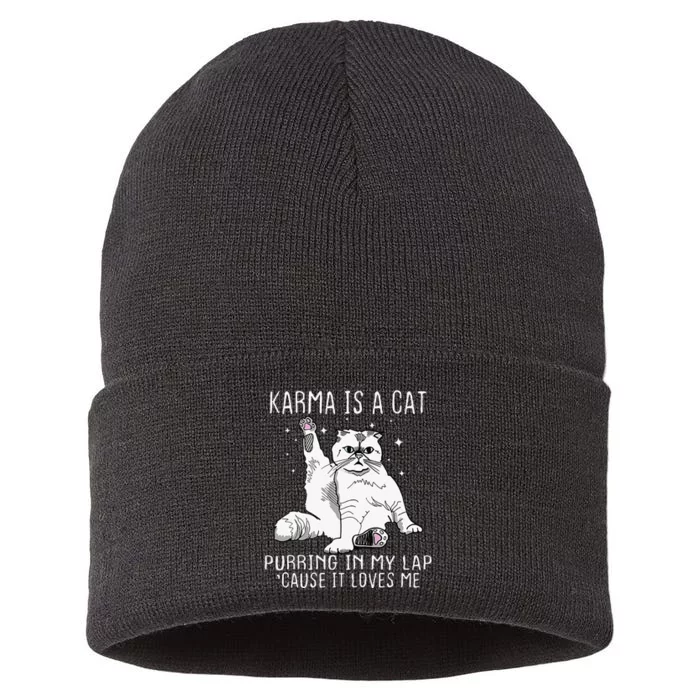 Karma Is A Cat Purring In My Lap Cause Its Loves Me Sustainable Knit Beanie