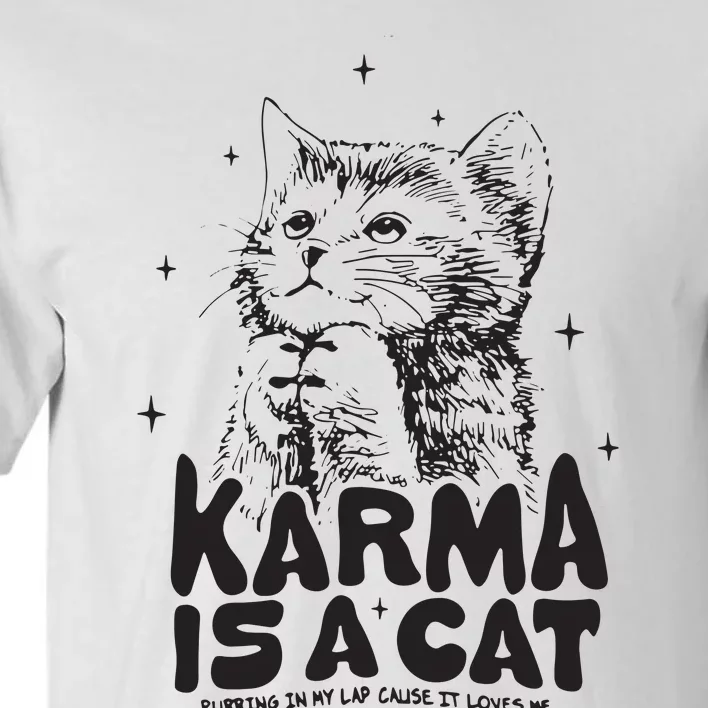 Karma Is A Cat Shirts Taylor Eras Cat Lover Tall T-Shirt