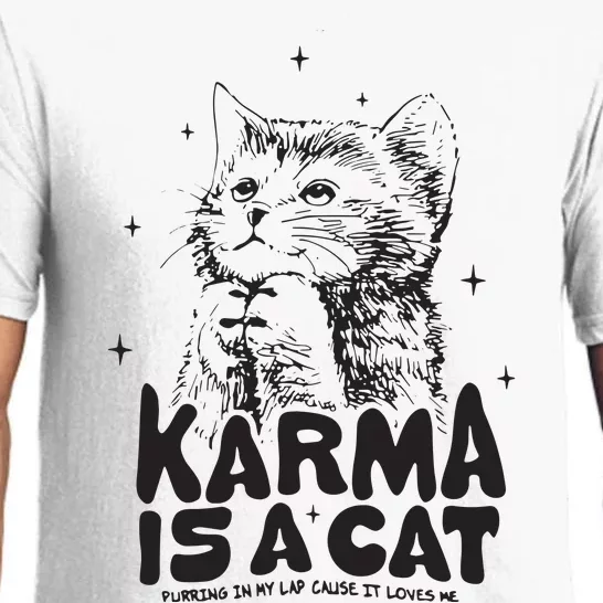 Karma Is A Cat Shirts Taylor Eras Cat Lover Pajama Set