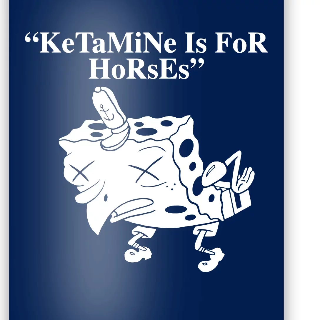 Ketamine Is For Horses Poster