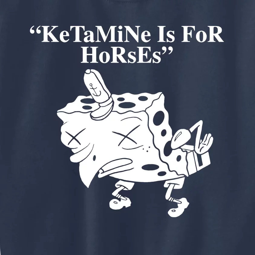 Ketamine Is For Horses Kids Sweatshirt