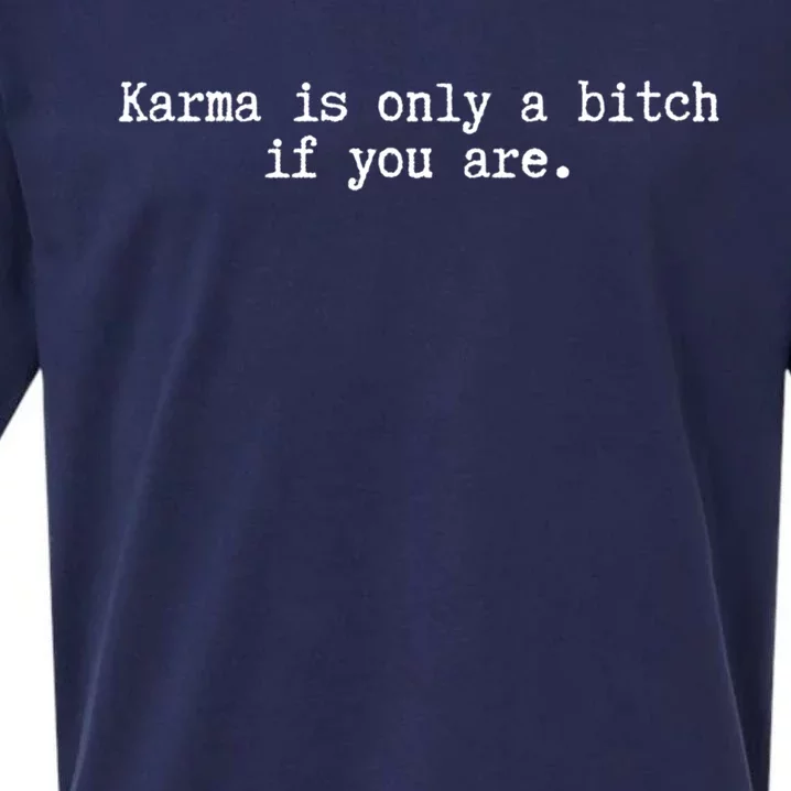 Karma Is Only A Bitch If You Are Destiny Rebirth Saying Gift Sueded Cloud Jersey T-Shirt