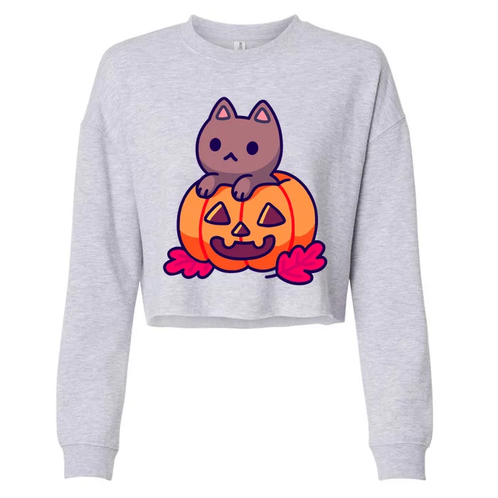 Kitten In pumpkin Cute Halloween Cropped Pullover Crew