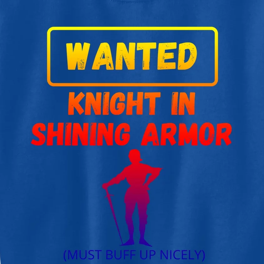 Knight In Shining Armor Sarcastic Rude Singles Dating Saying Meaningful Gift Kids Sweatshirt