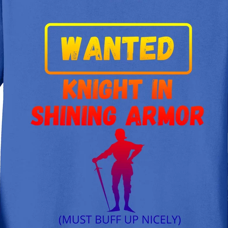 Knight In Shining Armor Sarcastic Rude Singles Dating Saying Meaningful Gift Kids Long Sleeve Shirt