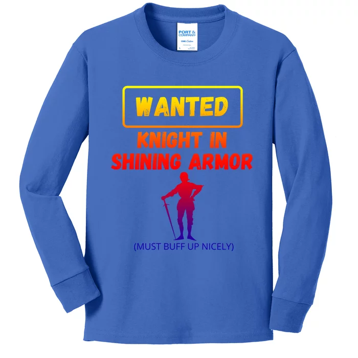 Knight In Shining Armor Sarcastic Rude Singles Dating Saying Meaningful Gift Kids Long Sleeve Shirt