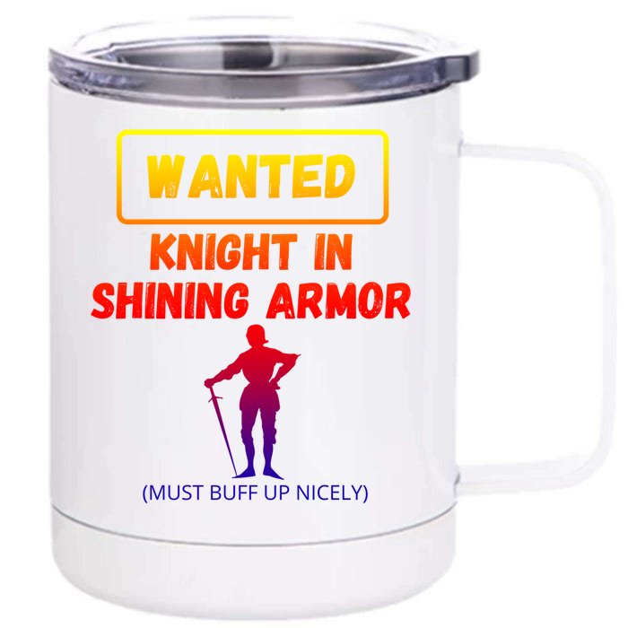 Knight In Shining Armor Sarcastic Rude Singles Dating Saying Meaningful Gift Front & Back 12oz Stainless Steel Tumbler Cup