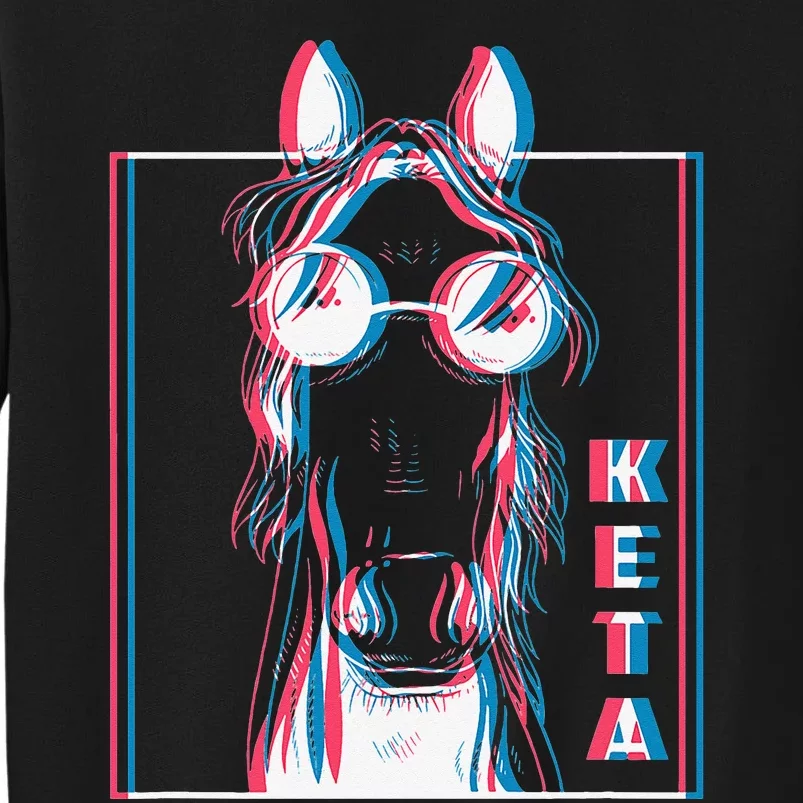 Keta Ketamine Horse Rave DJ Party Techno Sweatshirt