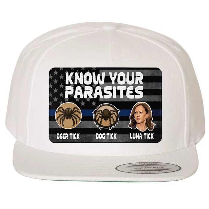 Kamala Know Your Parasites Deer Tick Dog Tick Luna Tick Wool Snapback Cap