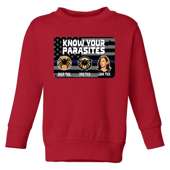 Kamala Know Your Parasites Deer Tick Dog Tick Luna Tick Toddler Sweatshirt