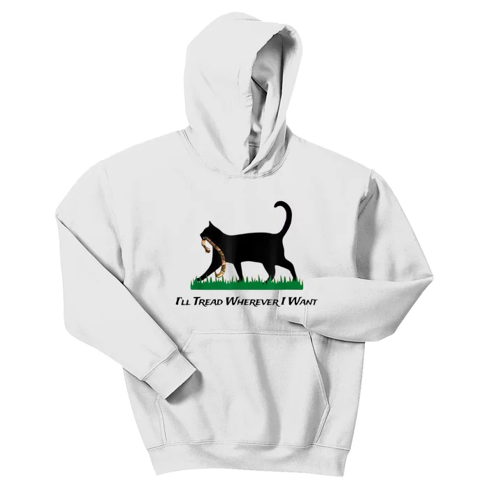 Kamala Lady Cat 2024 ILl Tread Wherever I Want Kids Hoodie