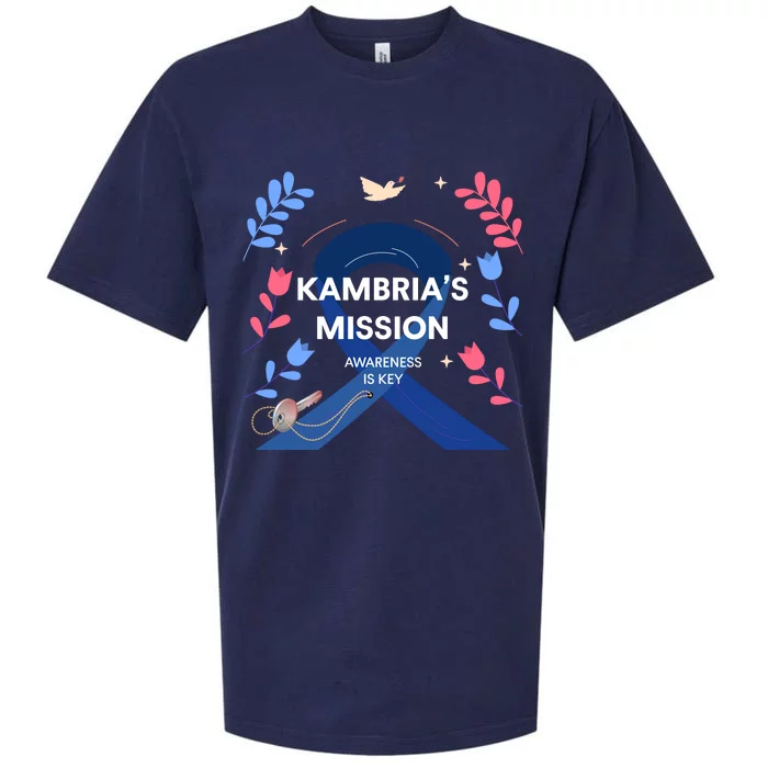 Kambria's Mission Awareness Gear Sueded Cloud Jersey T-Shirt