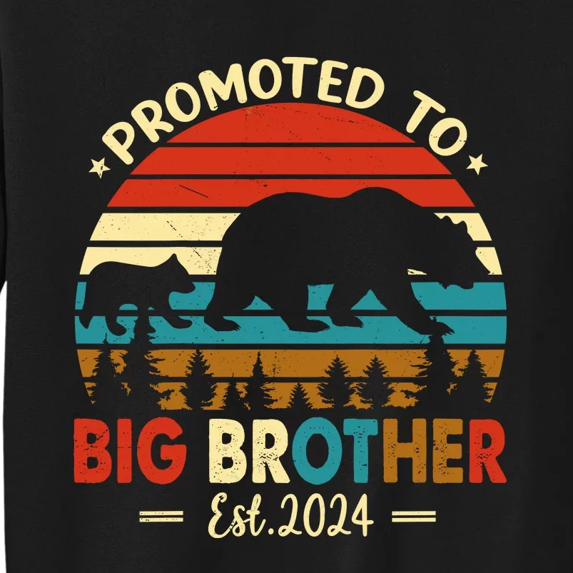 Kids Promoted To Big Brother Est 2024 Pregnancy Announcement Sweatshirt