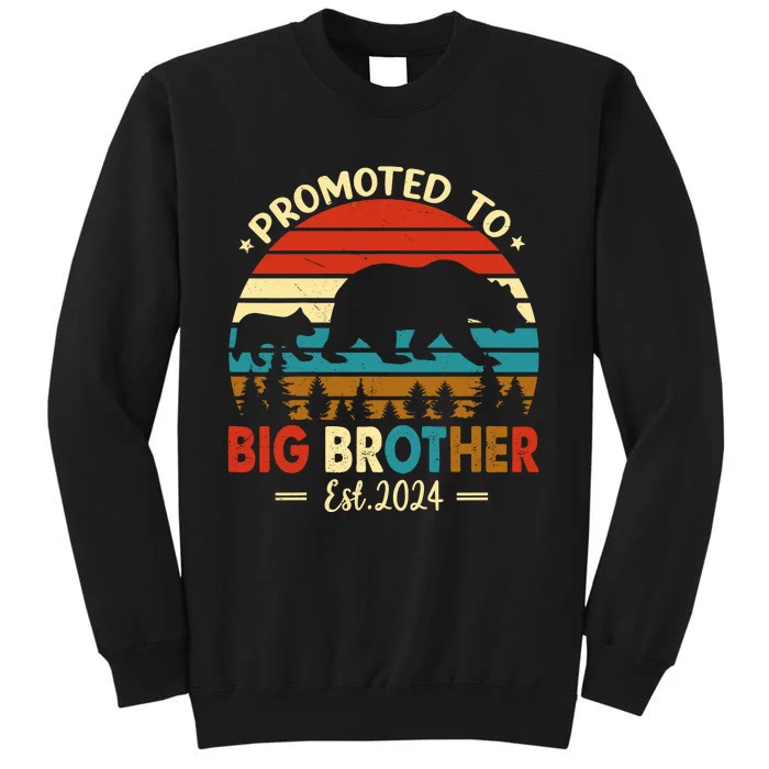 Kids Promoted To Big Brother Est 2024 Pregnancy Announcement Sweatshirt