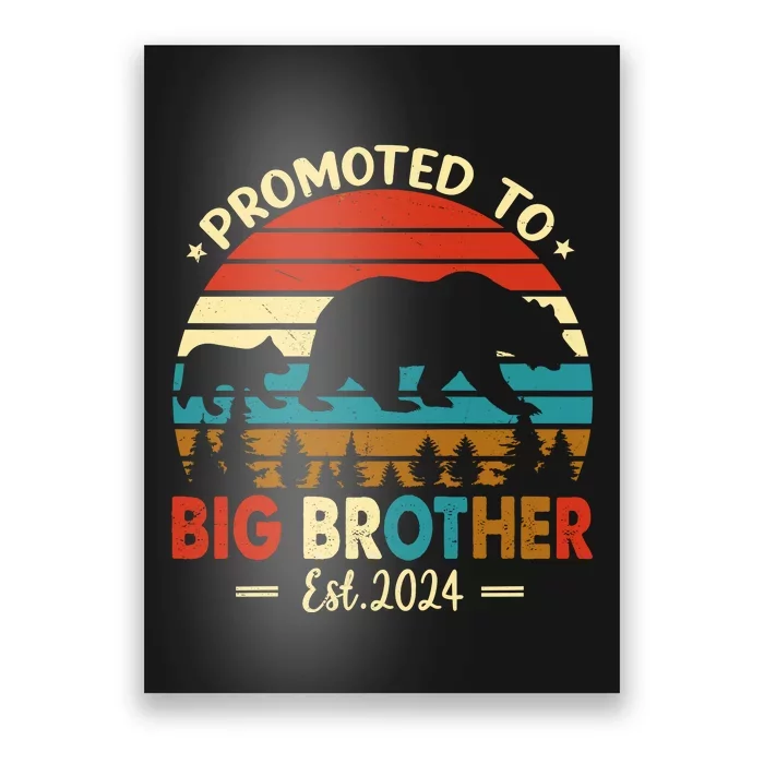 Kids Promoted To Big Brother Est 2024 Pregnancy Announcement Poster