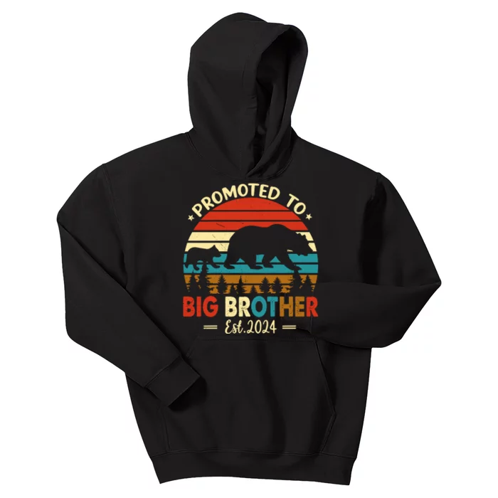 Kids Promoted To Big Brother Est 2024 Pregnancy Announcement Kids Hoodie