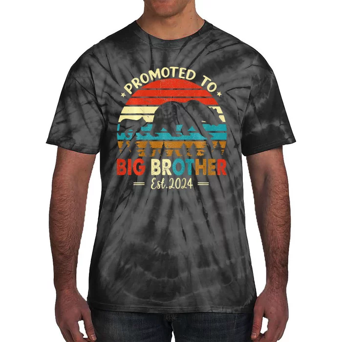 Kids Promoted To Big Brother Est 2024 Pregnancy Announcement Tie-Dye T-Shirt