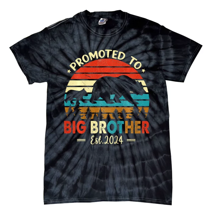 Kids Promoted To Big Brother Est 2024 Pregnancy Announcement Tie-Dye T-Shirt