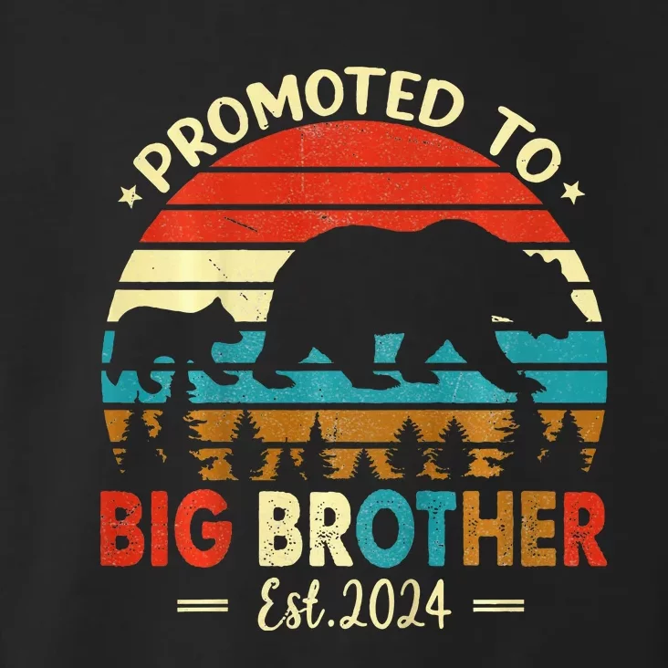 Kids Promoted To Big Brother Est 2024 Pregnancy Announcement Toddler Hoodie