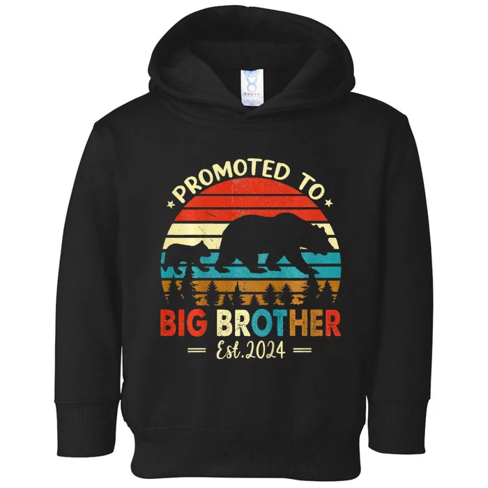 Kids Promoted To Big Brother Est 2024 Pregnancy Announcement Toddler Hoodie