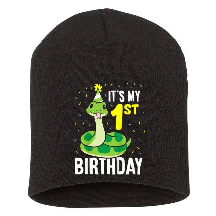 Kids Snakes Its My 1st Birthday 1 Year Old Birthday Short Acrylic Beanie